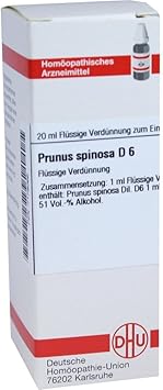 Prunus Spinosa D 6 Dilution 20 ml