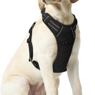 Funfox Dog Harness for Medium Anti-Pull Chest Harness, Adjustable Harness Set, Medium Dogs, No Pull Harness, Dog Anti-Pulling Harness for Large Dogs, Breathable Dog Harness, Black, M