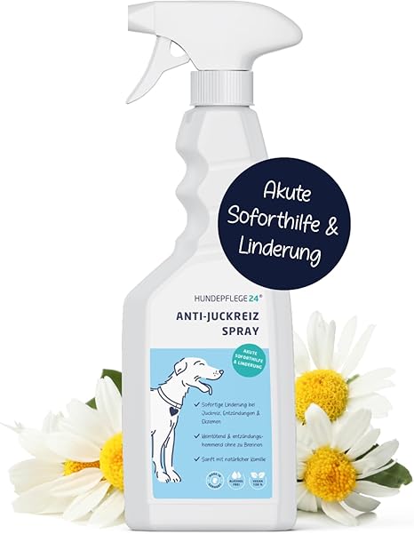 Hundepflege24 Anti-Itching Spray for Dogs 500 ml - Acute Immediate Aid & Effective Soothing for Inflammation, Mites, Grass Mites, Fungi, Fleas - Pet Care Agent Against Itching Dog