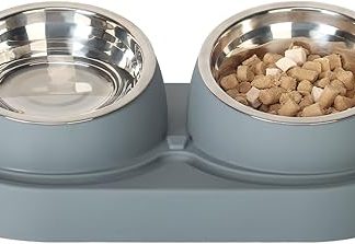 Double Cat Bowls and Feeding Bowls, Raised Bowl Made of Stainless Steel, Tilted, Feeding Bowl and Feeding Bowls, Feeding Bowls for Dogs and Cats, Cat Feeder
