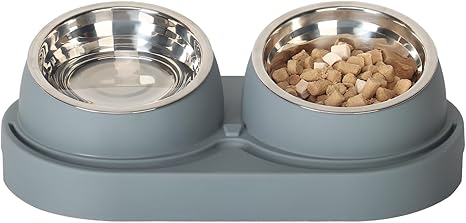Double Cat Bowls and Feeding Bowls, Raised Bowl Made of Stainless Steel, Tilted, Feeding Bowl and Feeding Bowls, Feeding Bowls for Dogs and Cats, Cat Feeder