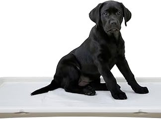 Kerbl Pet XL Puppy Toilet 90 x 60 x 4 cm, Cream, for Puppies, Elderly or Sick Dogs, Pad Sold Separately, Plastic, Made in Italy