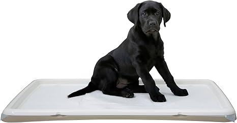 Kerbl Pet XL Puppy Toilet 90 x 60 x 4 cm, Cream, for Puppies, Elderly or Sick Dogs, Pad Sold Separately, Plastic, Made in Italy