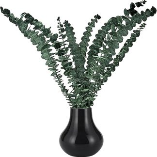 Shower Hangings Eucalyptus 17 Inch Real Eucalyptus Stems Natural Dried Flower Stems Plant Flower Arrangement Real Leaves Bundle Green Plant for Bathroom Beauty Salon