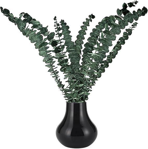 Shower Hangings Eucalyptus 17 Inch Real Eucalyptus Stems Natural Dried Flower Stems Plant Flower Arrangement Real Leaves Bundle Green Plant for Bathroom Beauty Salon