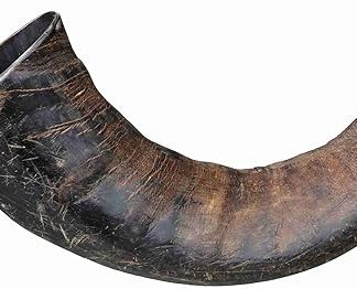 Trixie Genuine Buffalo Chewing Horn for Dogs, Large
