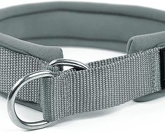 Soft Neoprene Padded Dog Collar (4 cm Wide), Reflective Dog Collar with Robust Nylon & Pull Stop, Comfortable Pull Collar Dressage Collar for Small Medium Large Dogs Anti-Pull Walking S, Grey