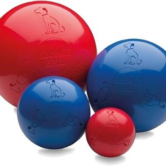 Company of Animals Boomer Ball, assorted colours