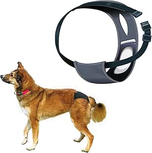 Trixie Protective Dog Pant, Medium, Black