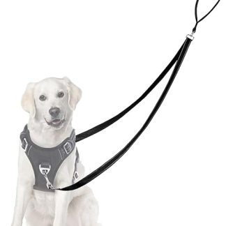 Adiwo Anti Pull Dog Harness, No Tangle, Reflective Double Lead, for Large, Medium Dogs, Anti-Pull Harness, Dog Lead, Black