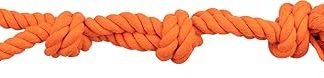 Trixie Denta Fun 2 Playing Rope for Dog, 60 cm