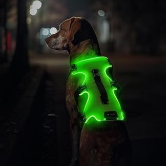 Jewyow Luminous Dog Harness, Rechargeable LED Dog Harness, LED Harness for Dogs with Soft Handle, 3 Adjustable Modes, Waterproof for Medium, Large Dogs, Green-L