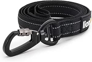 lionto Dog Lead, 170 cm, Rubberised Lead with Hand Loop and 360° Metal Carabiner with Safety Clasp, Reflective Dog Lead Made of Robust, Weatherproof Nylon, Black