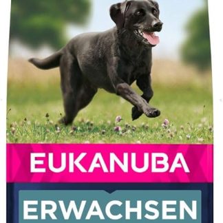 Eukanuba Dog Food for Large Breeds, Premium Dry Food with Fresh Chicken, 15 kg