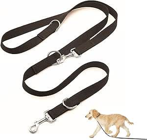 Dog Lead for Large and Strong Dogs, with Two Carabiners (Black 2.5 x 260 cm)