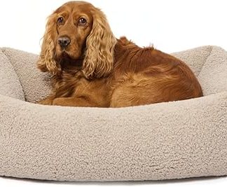 PAW WOW Sven Dog Bed, Orthopaedic Dog Bed, Teddy Fabric, Dog Basket for Small, Medium and Large Dogs (Greige, 85 x 65 cm)