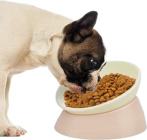 Petdoer French Bulldog Slanted Pug Dog Bowl Non Slip Frenchie Shih Tzu Flat Dog Cat Bowl