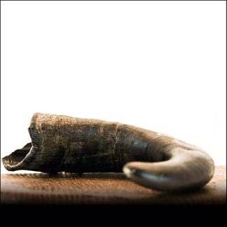 Buffalo Horn M (200g +) – by George and bobs