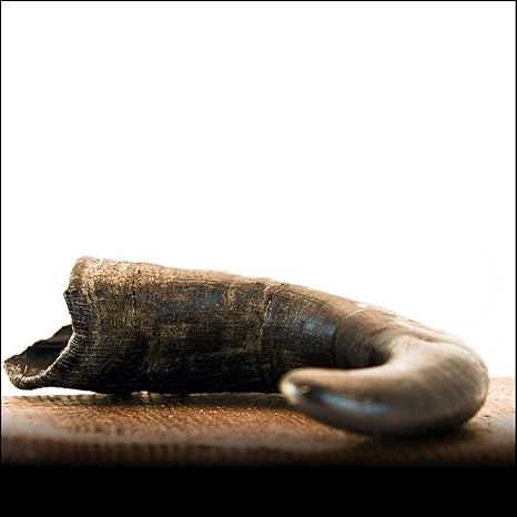 Buffalo Horn M (200g +) – by George and bobs