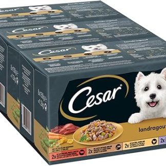 Cesar Dog Wet Food, Country Kitchen with Poultry and Vegetables in Delicious Sauce