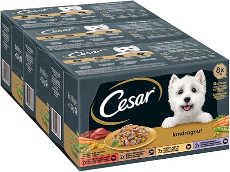 Cesar Dog Wet Food, Country Kitchen with Poultry and Vegetables in Delicious Sauce