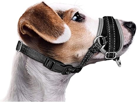 Nasjac Muzzle for Dogs, Adjustable Soft Nylon Muzzle to Prevent Biting Anti-Barking Stop Chewing Food Breathable Dog Mouth Guard for Small Dogs