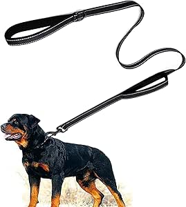 Dog Lead for Large and Medium with Integrated Short Lead, Reflective Lead, 2 Hand-friendly Padded Hand Loops, 1.8 m Lead