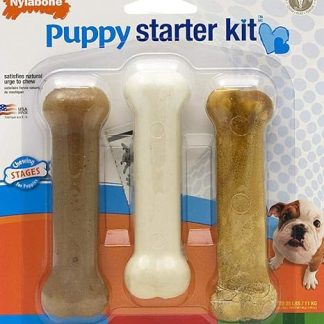 Nylabone Puppy Starter Kit