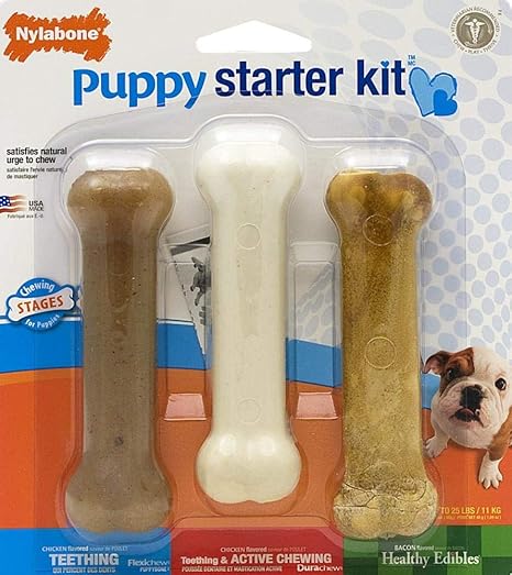 Nylabone Puppy Starter Kit