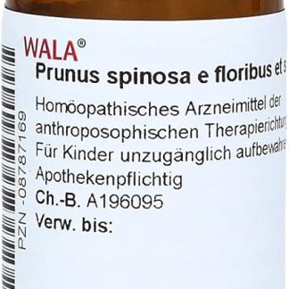 Prunus Spinosa e floribus et summitatibus D 3 Gl. 20 g