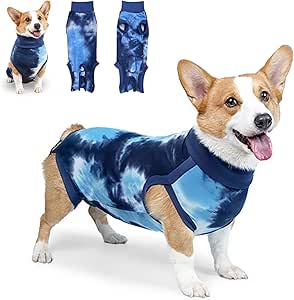 Dog Bodysuit After Surgery Dog Castration, Surgical Suit Dog Castration Dog, Dog Bodysuit After Castration Rude Body Suit After Surgery for Dogs Surgery Suit Pet Shirts (Bandages -Dyed Blue, M)