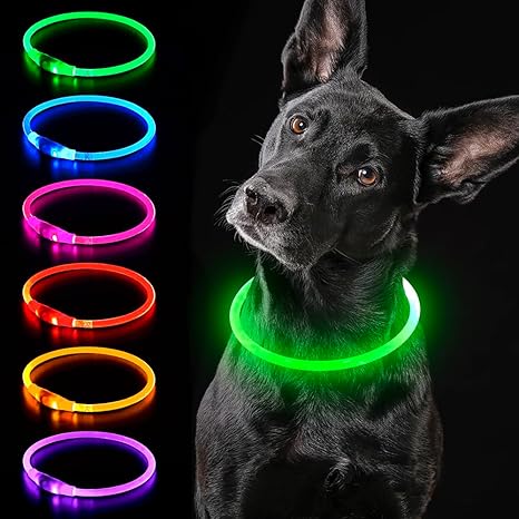 iTayga Luminous Dog Collar, USB Rechargeable and Waterproof Dog Collar, Adjustable Length, Safety Collar for Dogs and Cats, 3 Modes, Green