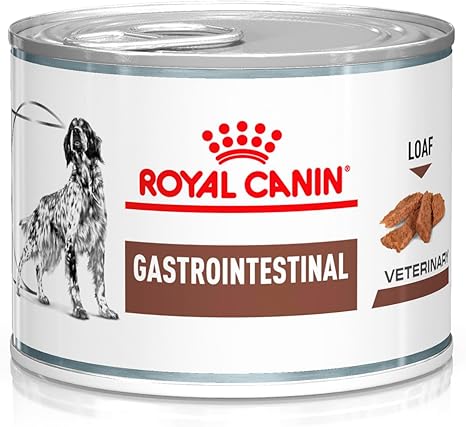 Royal Canin Gastro Intestinal
