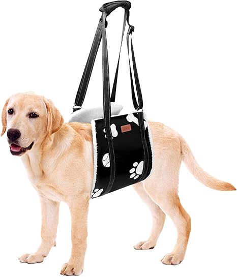 Soft Dog Carrier - Adjustable Walking Aid for Dogs in Various Sizes, Safety Support for Disabled, Injured or Elderly Dogs