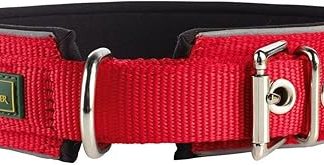 Hunter Neon Reflective Dog Collar nylon with soft neoprene padding gentle on fur