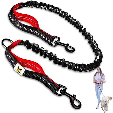Hundefreund Bungee for Jogging Lead, 120 cm Replacement Lead with Elastic Band and 2 Loops, Extension for Dog Lead (Red)