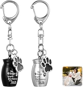Ouligay Pack of 2 Mini Urn for Ashes, Dogs, Stainless Steel Dog Claw, Animal Urns for Dogs and Cats, Memorial Ashes, Memorial Urn Keyring, Pet Urns Keychain