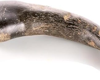 Animal House Buffalo Horns for Dogs - 100% Natural Chewable - Strengthens Oral Hygiene - Strong and Durable - Available in All Sizes - Cruelty Free (1, S)