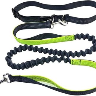 Aiqeer Grey Hands-Free Dog Lead, Adjustable Waist Belt and Stretchy Bungee Lead, Jogging Dog Lead with Reflective Stitching (Green Handle)