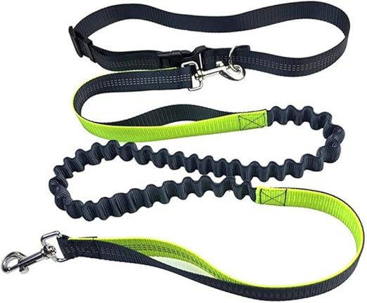 Aiqeer Grey Hands-Free Dog Lead, Adjustable Waist Belt and Stretchy Bungee Lead, Jogging Dog Lead with Reflective Stitching (Green Handle)