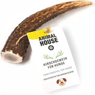 Animal House Whole Deer Antlers for Dogs - 100% Natural Chew Snack - Strengthens Oral Hygiene - Resistant and Durable - Available in All Sizes (S)