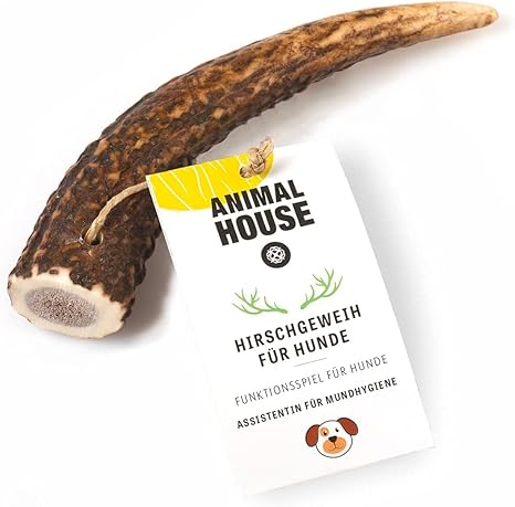 Animal House Whole Deer Antlers for Dogs - 100% Natural Chew Snack - Strengthens Oral Hygiene - Resistant and Durable - Available in All Sizes (S)