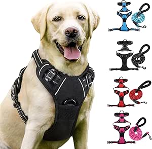 Fellsteр Harness, Anti-Pull Dog Harness with Step-in Design, Breathable and Padded, for Relaxed Walking, No Pull Control, for Dogs of All Sizes (Black, L)