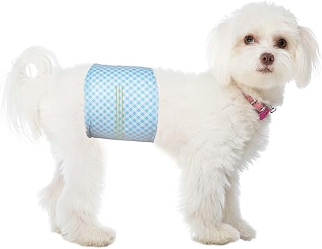Flying Paws 40 Pack Disposable Male Dog Diapers, Dog Diapers, Male Diapers Fits Waist 30-48cm, S