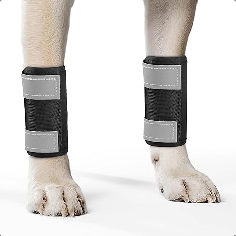 OHCOZZY Dog Splint 2 Units Front Leg with Reflective Straps, Dog Wrist Support for Licking, Dog Wraps for Wraps, Wound Injury and Sprain Healing, L