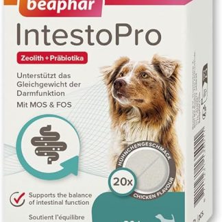 BEAPHAR - IntestoPro Tabs for Large Dogs - With Zeolite - With MOS & FOS - Supports the Balance of Intestinal Function - Pack of 20