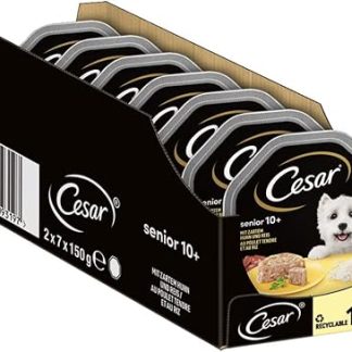 Cesar Senior 10+ Wet Dog Food with Delicate Chicken and Rice in Jelly, 14 Bowls (14 x 150 g)