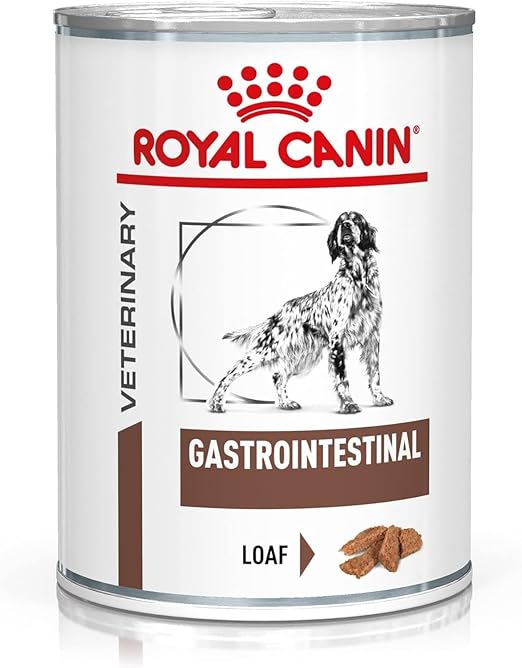 Royal Canin Veterinary Diet Wet Dog Food Canine Gastrointestinal 400 g (Pack of 12)