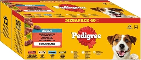 Pedigree Dogcare Dog Food Portion Bag Chunks in Jelly Adult 40 x 100 g