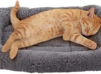 Enjoying Cat Bed Square 38 x 26 cm, Warm Cat Sleeping Place for Small Dogs Cats Rabbits, Soft Cat Mat with Pillow, Cat Cushion for Cage Transport Box, Non-Slip, Washable